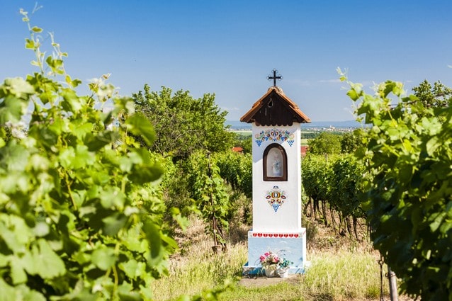 Boží muka na vinici Slovácko. Cyklotrasa.