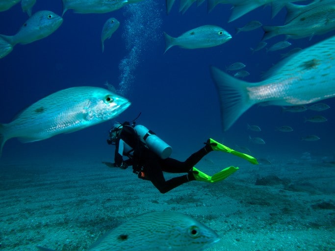 Potápění v Mexiku